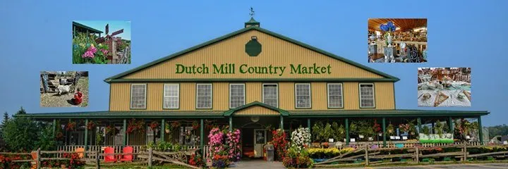 the dutch mill video image